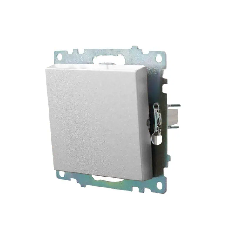 1G-silver-1.jpg